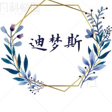 迪梦斯百货商行