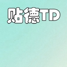贴德旗舰店