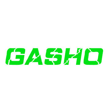 GASHO光硕存储 店铺LOGO
