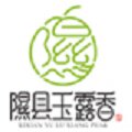 隰县玉露香梨尧隰玉露专卖