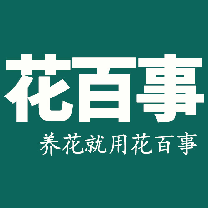 花百事旗舰店