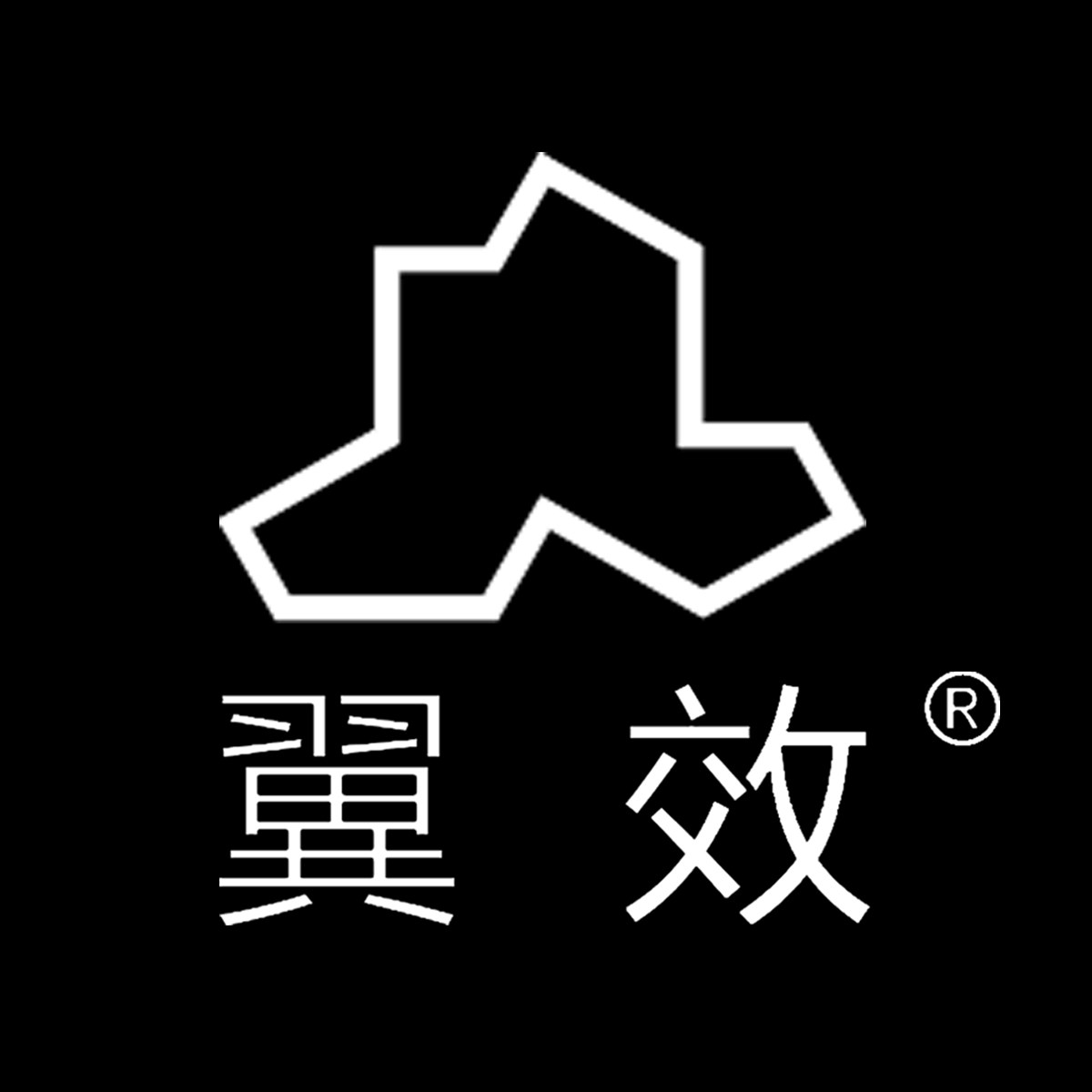 翼效FPV影视官营店