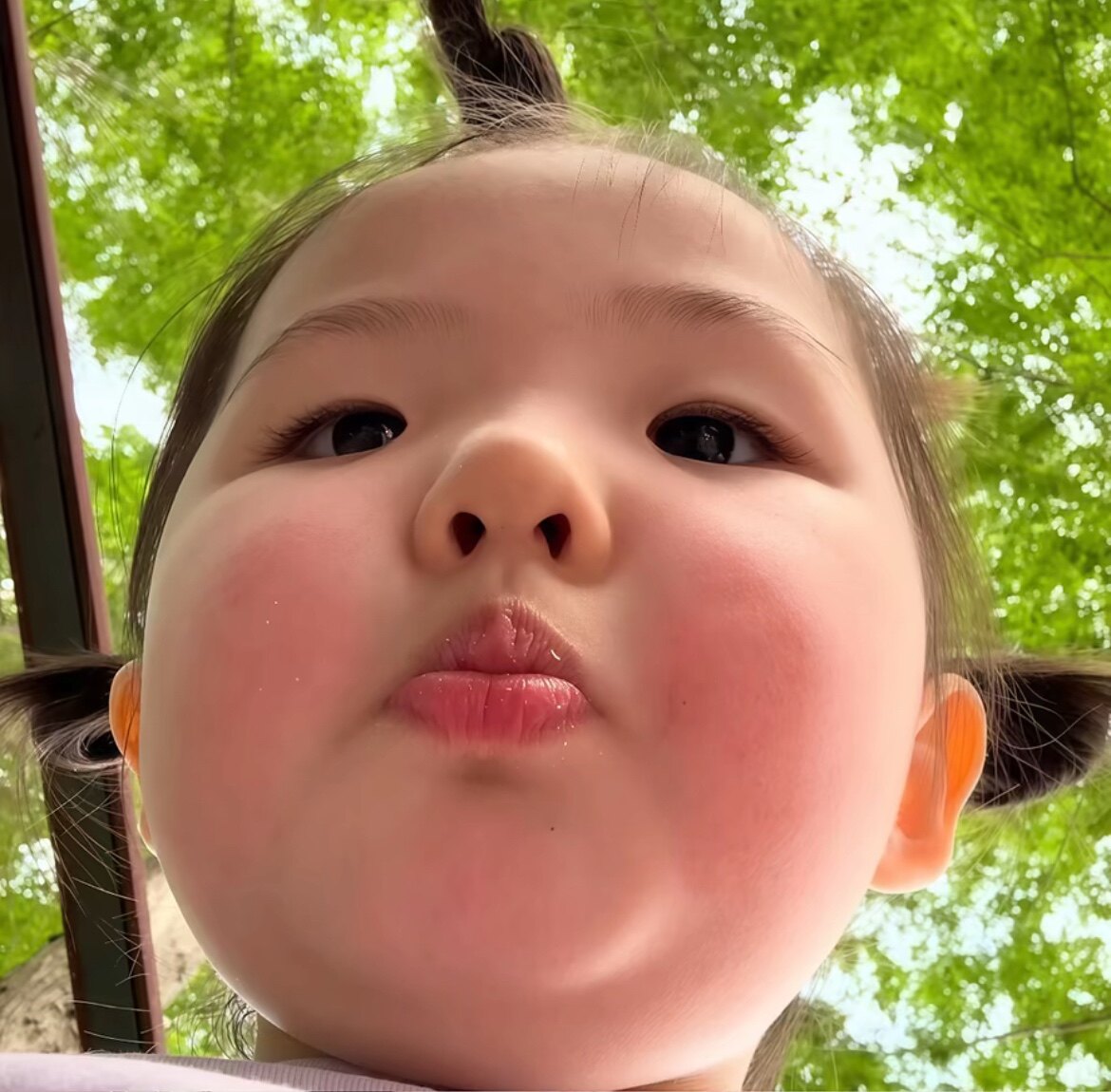 努力的小新
