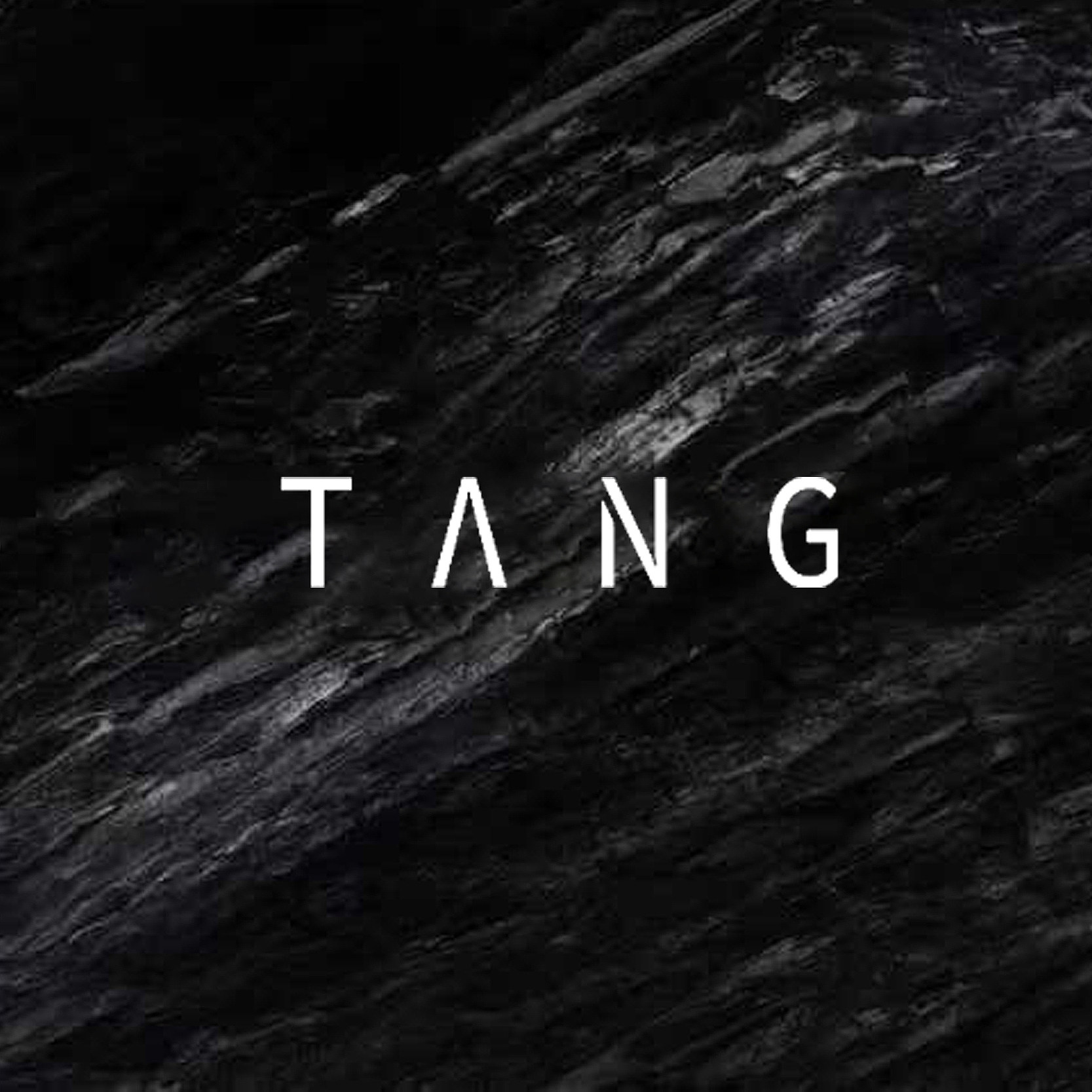 阿汤哥TANG