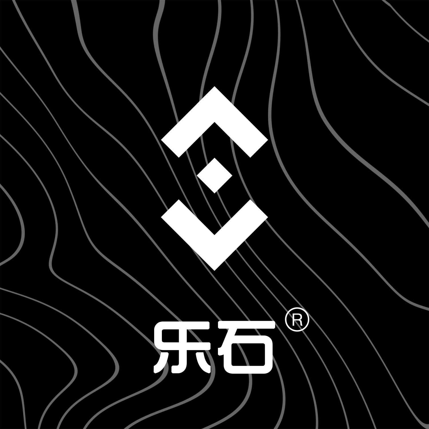 乐石旗舰店 店铺LOGO