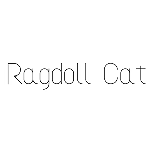Ragdoll Cat 布偶猫工作室