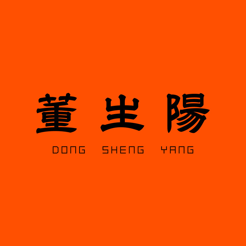 董生阳旗舰店
