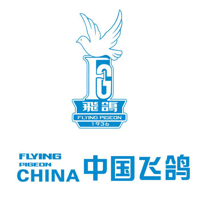 飞鸽牌童车品牌店