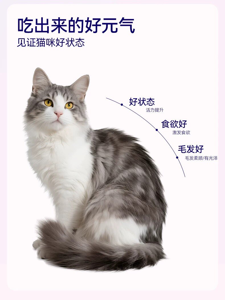 伴宠食优选