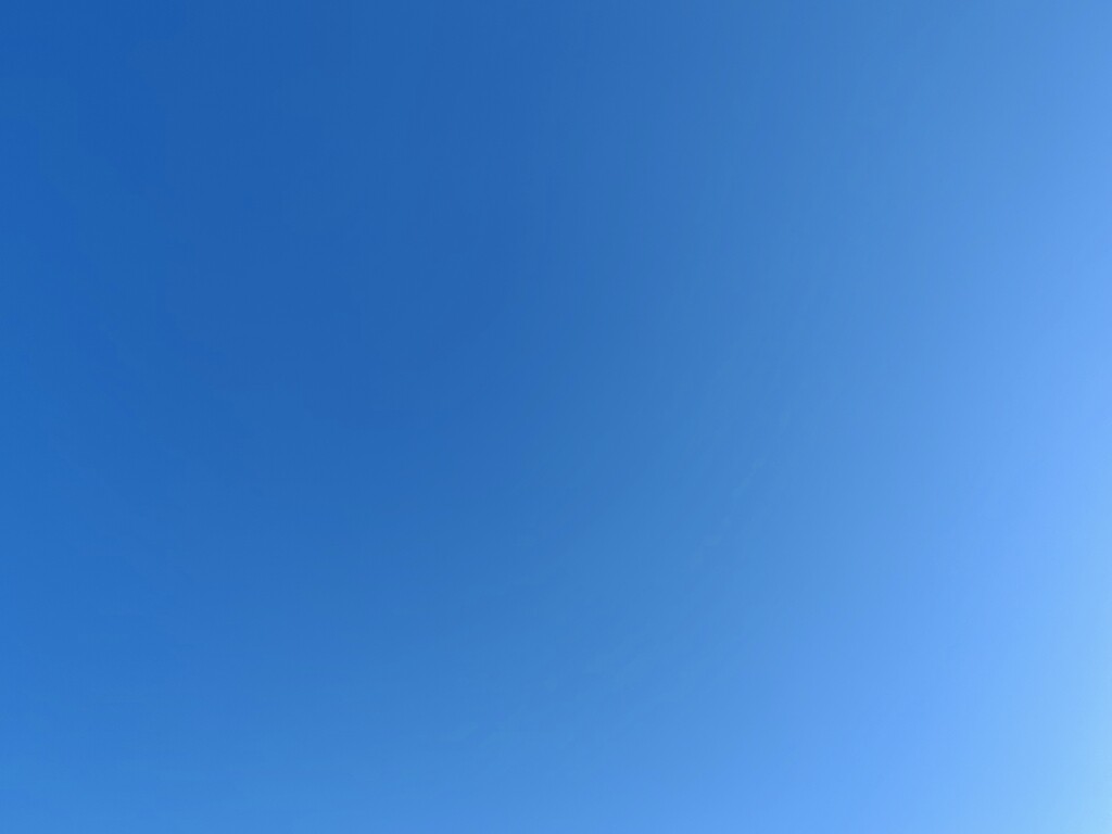 智大电线厂家直销