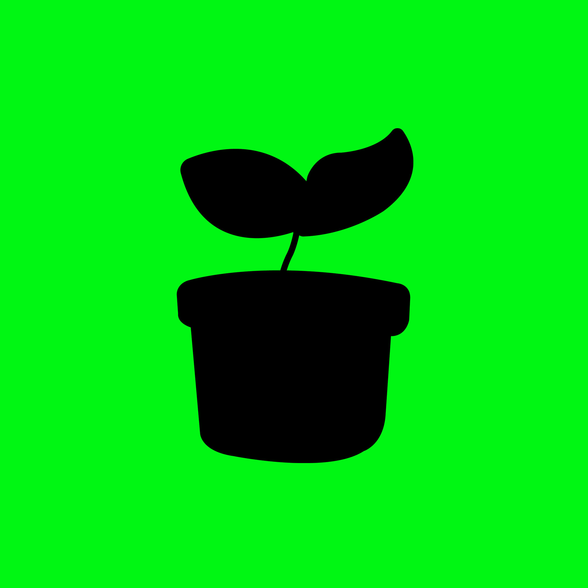 光合作用Plants 店铺LOGO