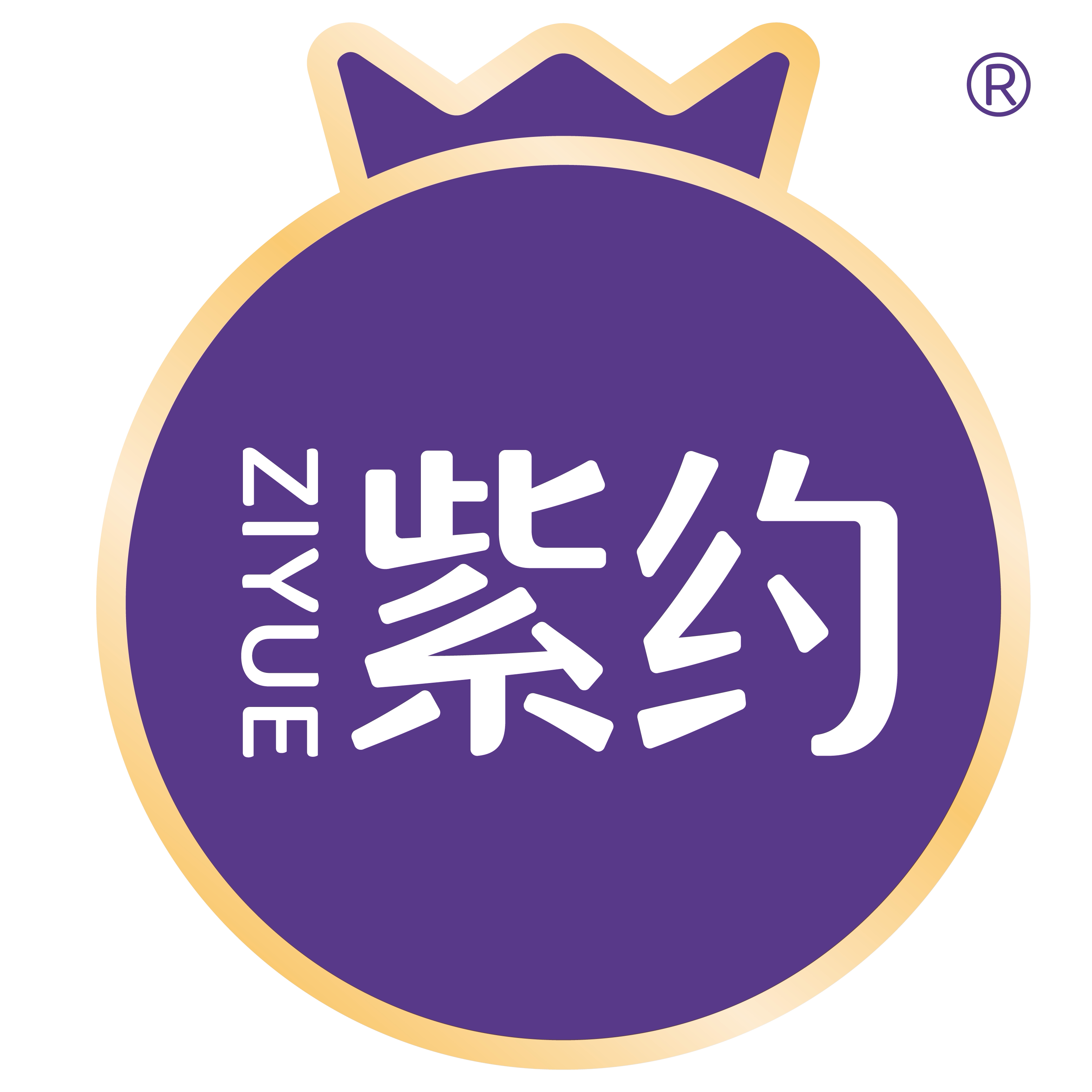 紫约食品旗舰