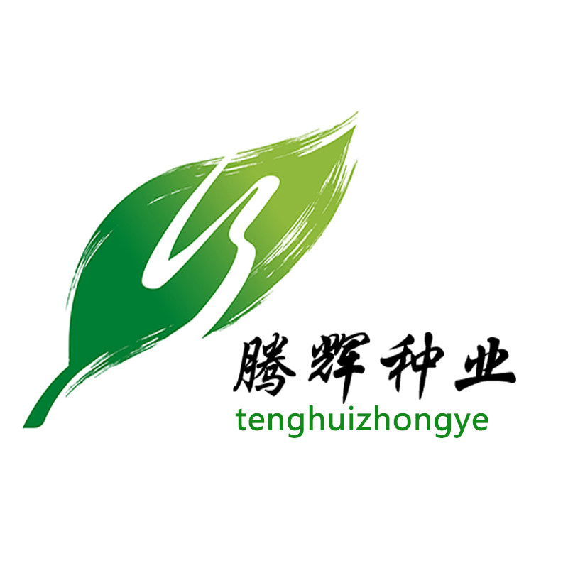 腾辉种业 店铺LOGO