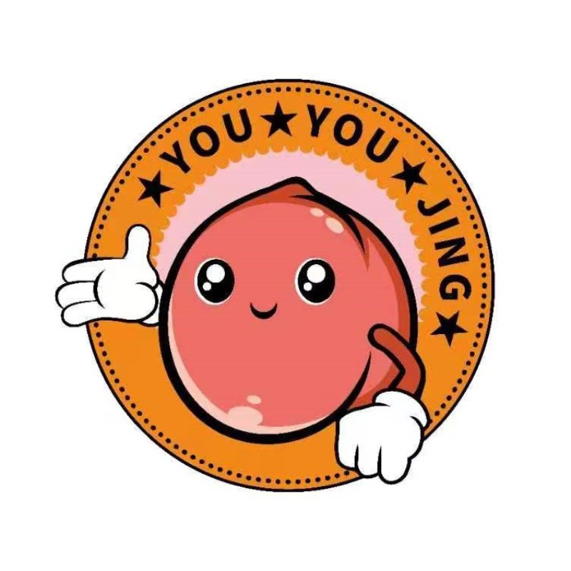 YOUYOUJING旗舰店
