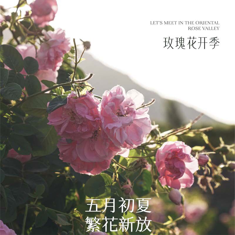 花田的护肤店 店铺LOGO
