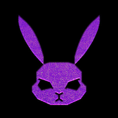 GRUMPY RABBIT 暴兔丝袜