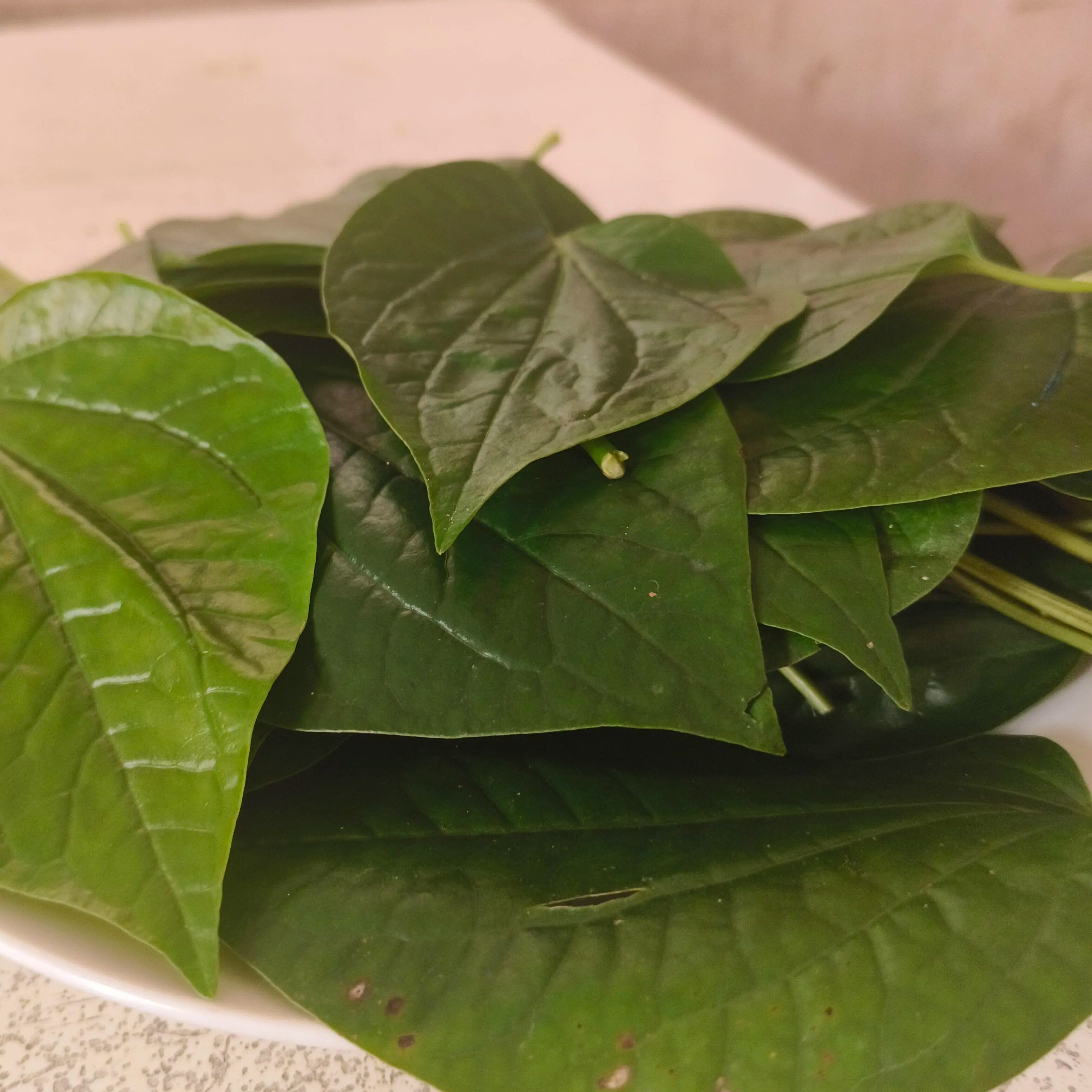 山里老农 店铺LOGO