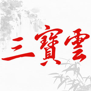 三宝云旗舰店