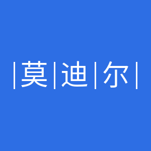 莫迪尔数码旗舰店