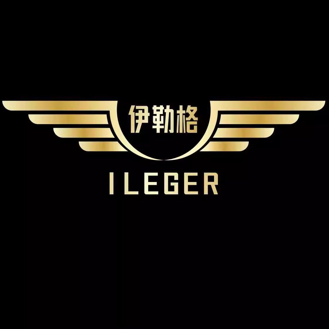 伊勒格汽车配件旗舰店