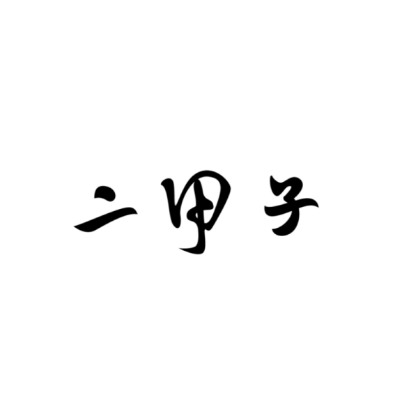 二甲子旗舰店