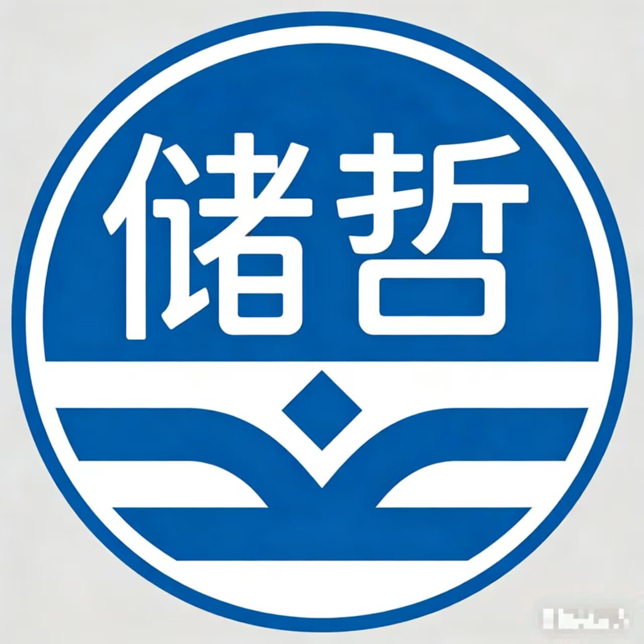 储哲旗舰店