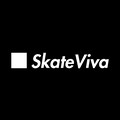 skateviva滑板鞋品牌店