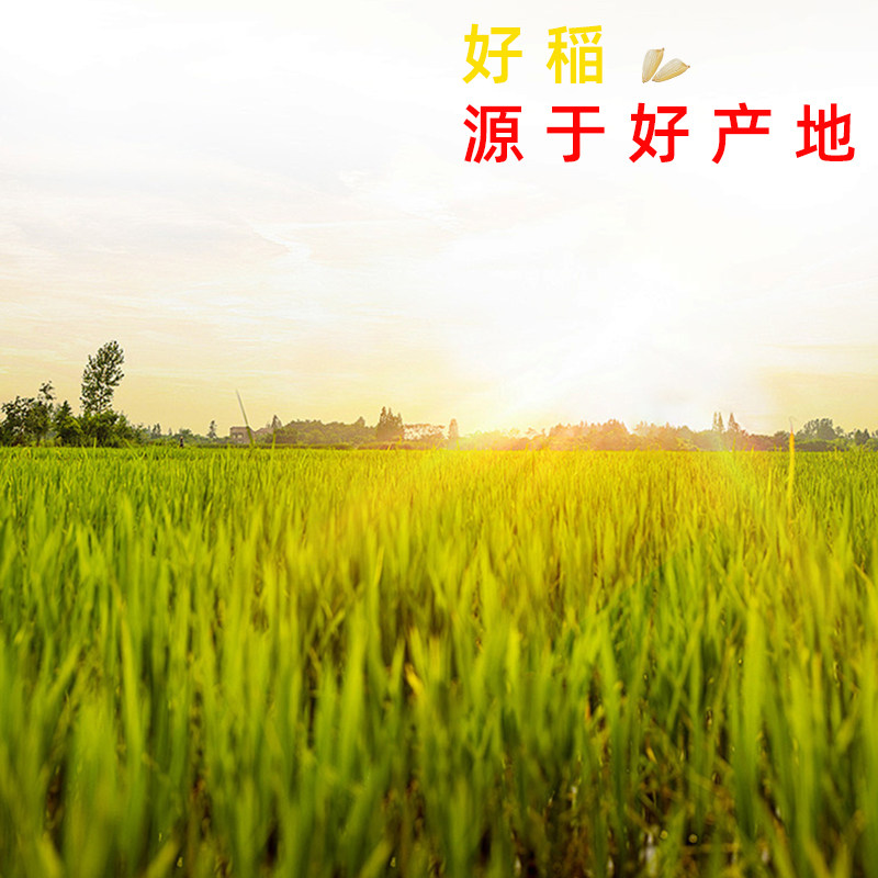 皖南农产品严选