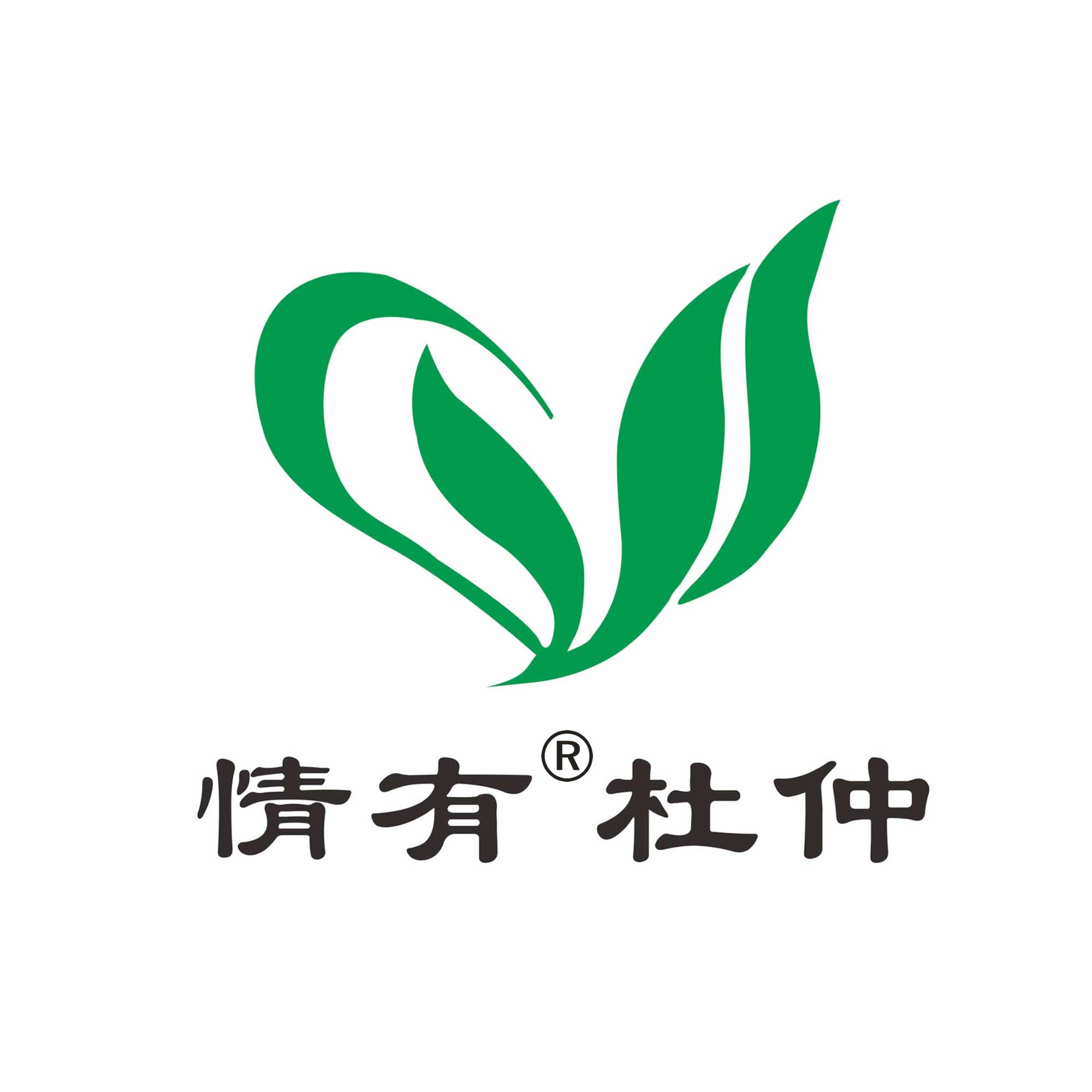 情有杜仲茶