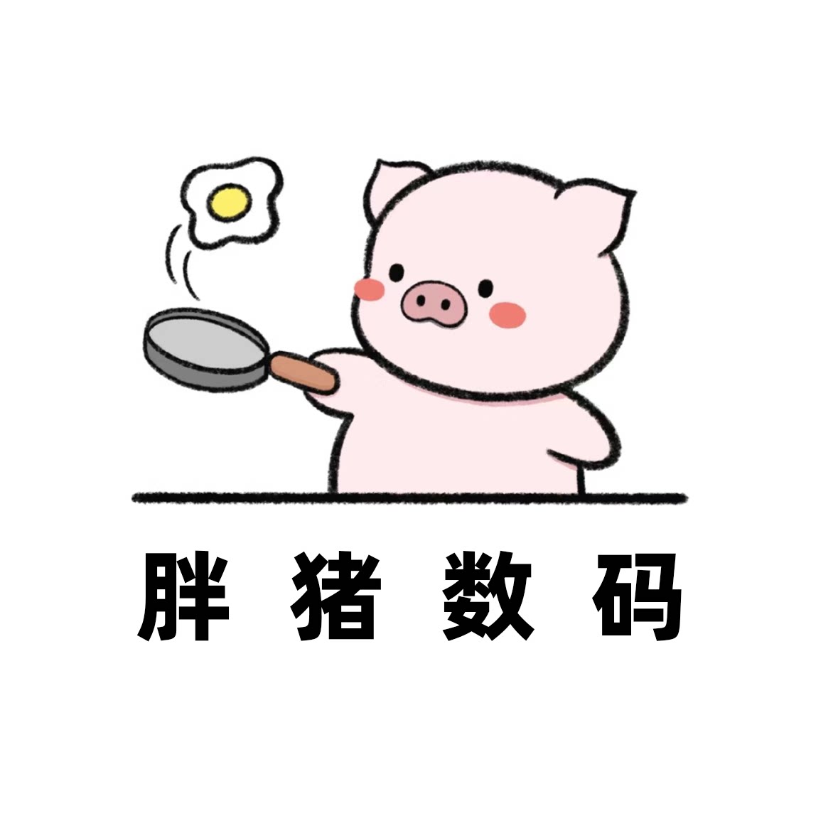 胖猪数码 店铺LOGO