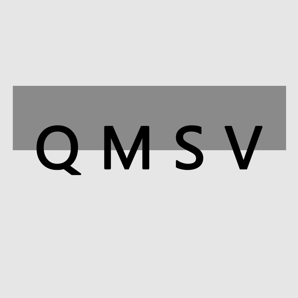 QMSV旗舰店