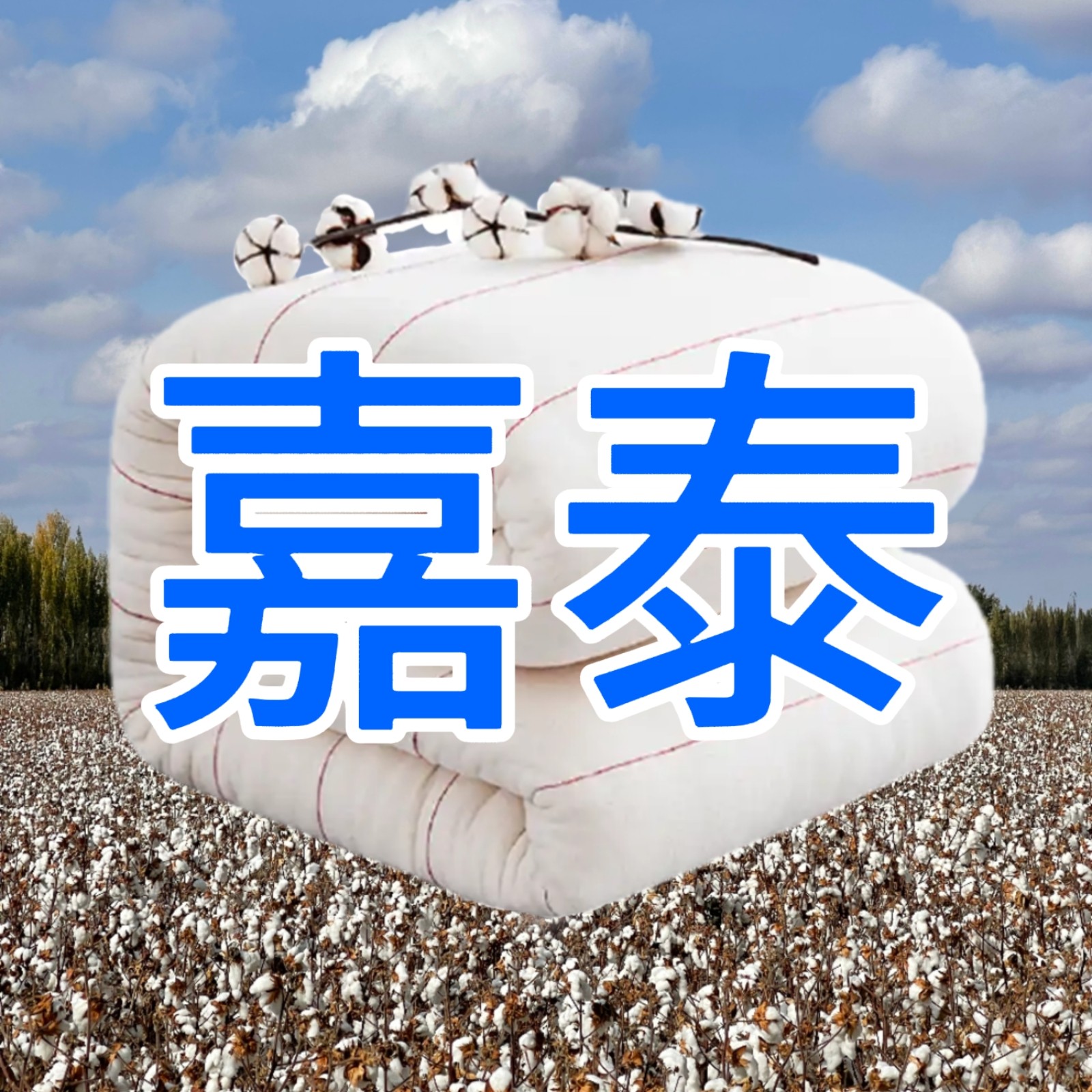 嘉泰新疆棉花被家纺