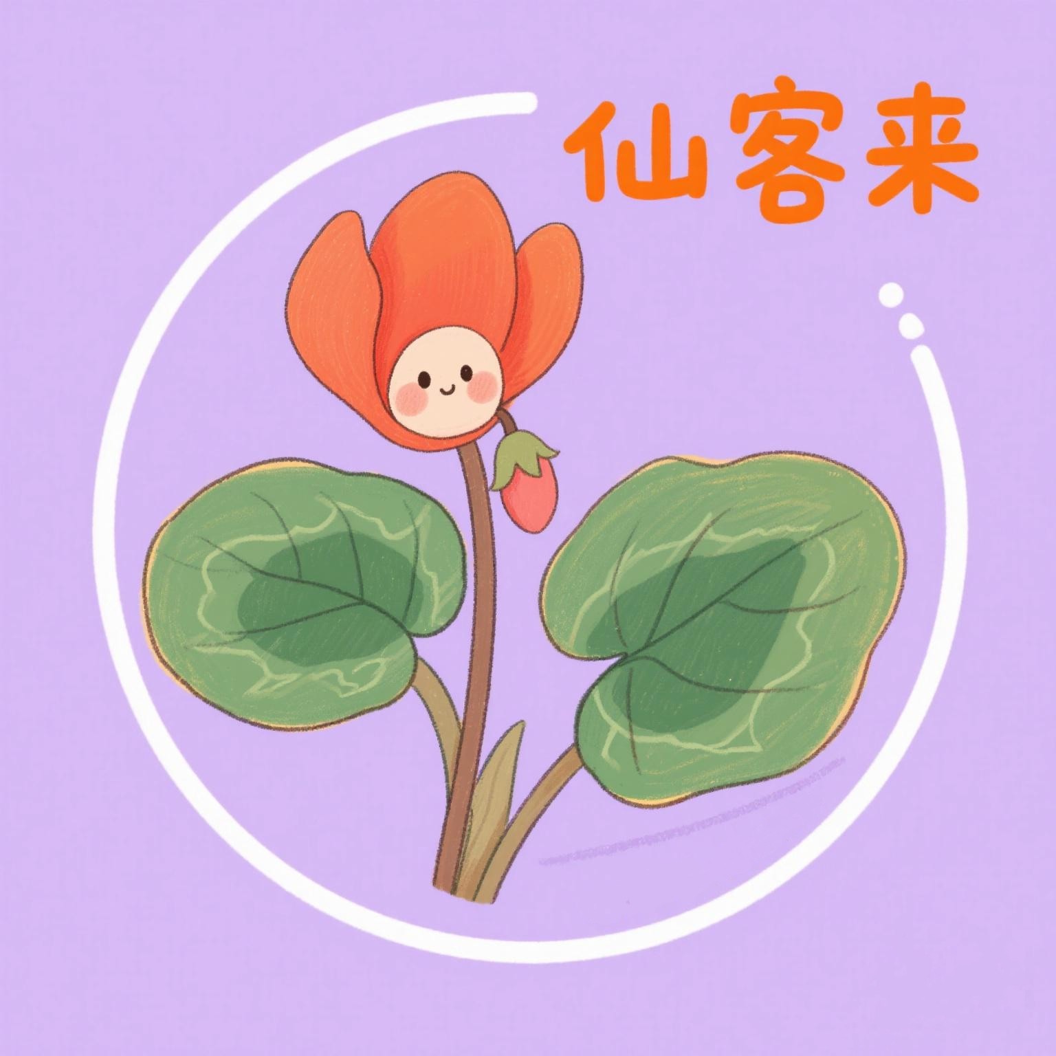 仙客来好物精选