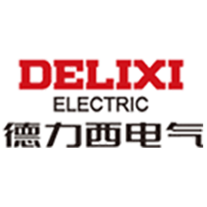 德力西领升专卖店