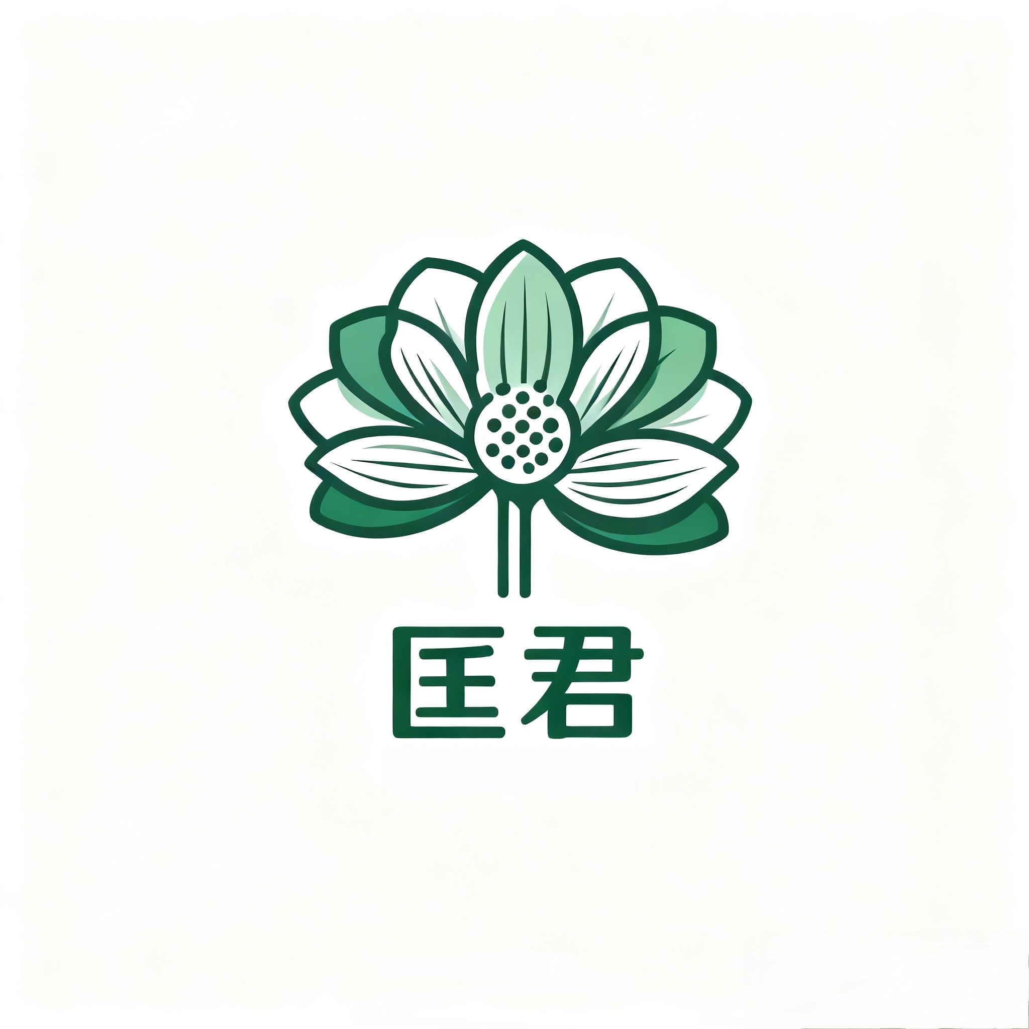 匡君旗舰店