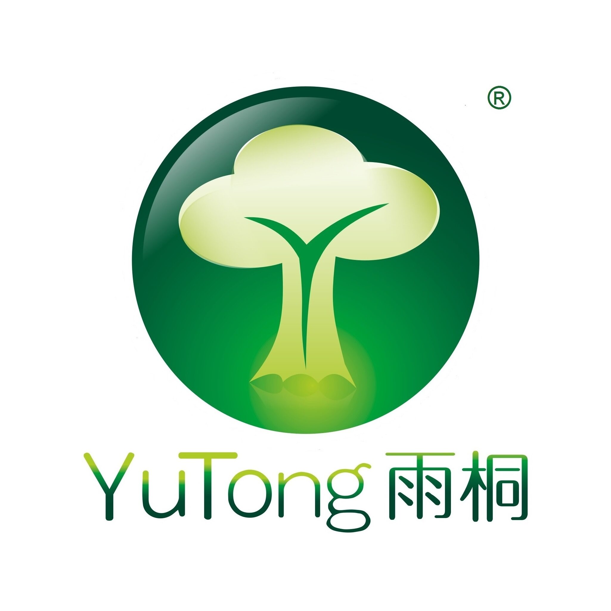 雨桐旗舰店