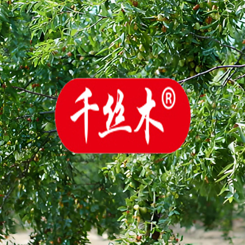 千丝木食品旗舰店