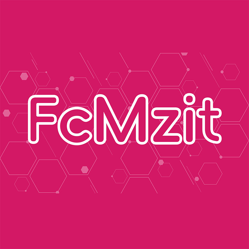 FcMzit海外旗舰店 店铺LOGO