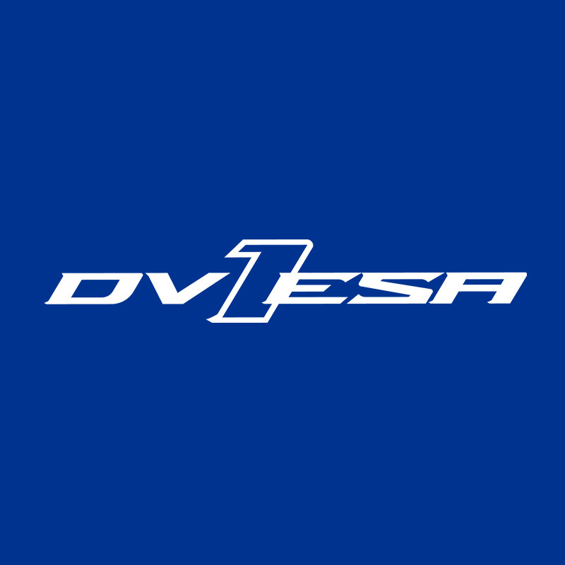DVESA旗舰店 店铺LOGO