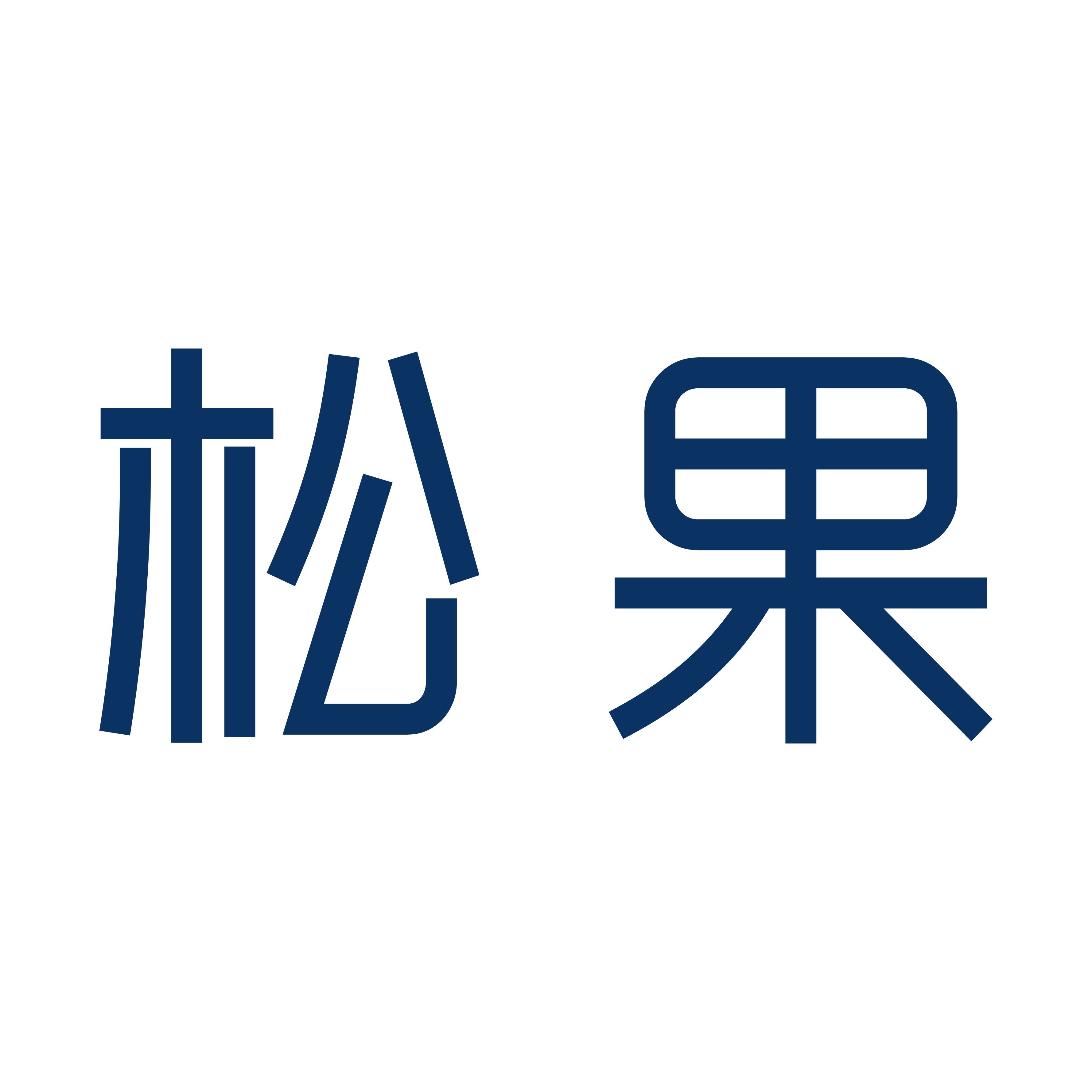 松果旗舰店 店铺LOGO