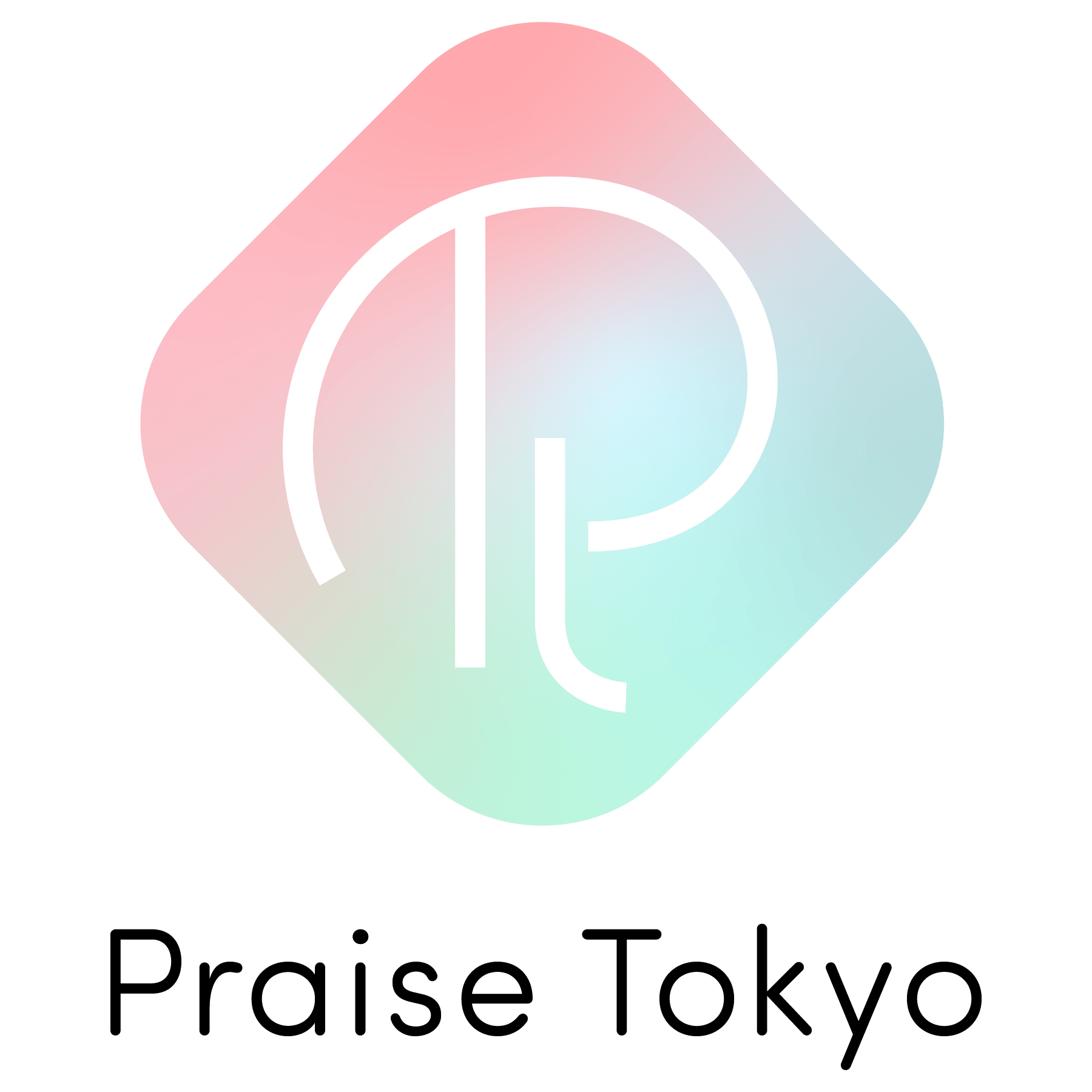 Praise化妆品海外专营店 店铺LOGO