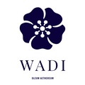 Wadi海外旗舰店