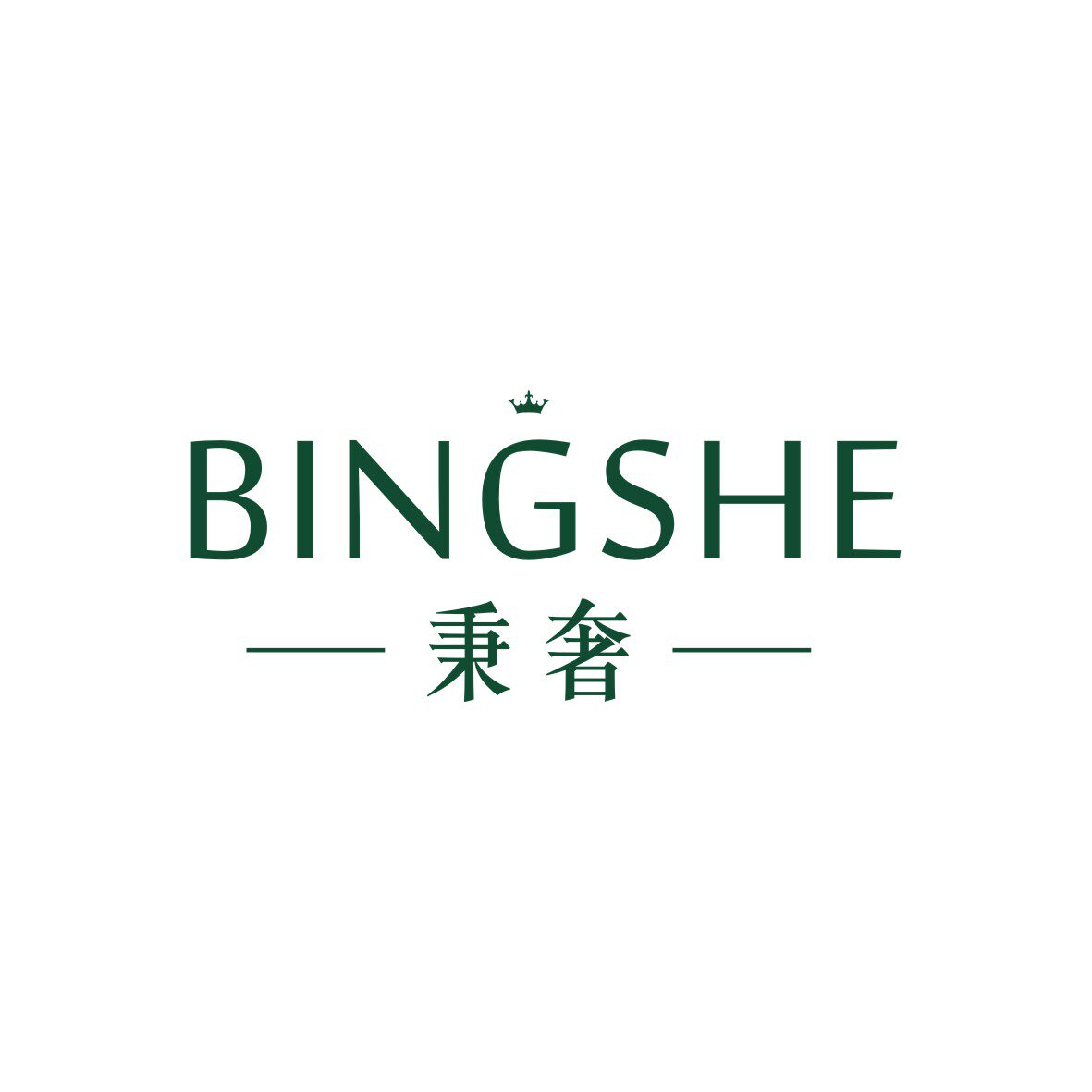 BINGSHE 店铺LOGO
