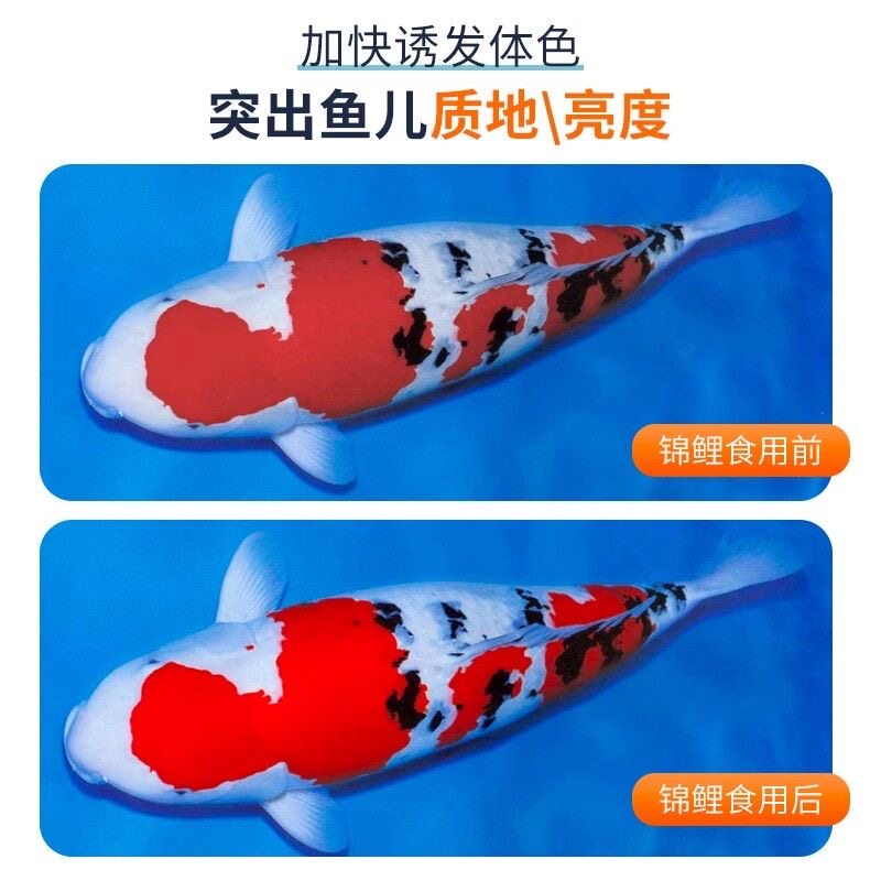 贴心管家水族店