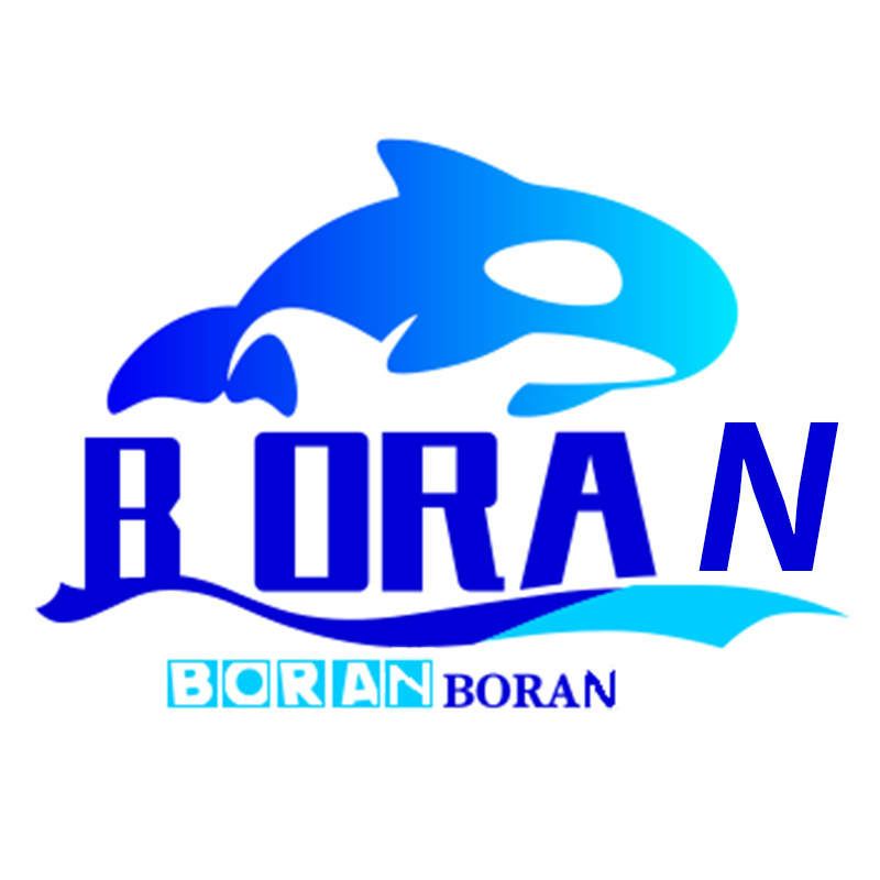 BORAN环球汇