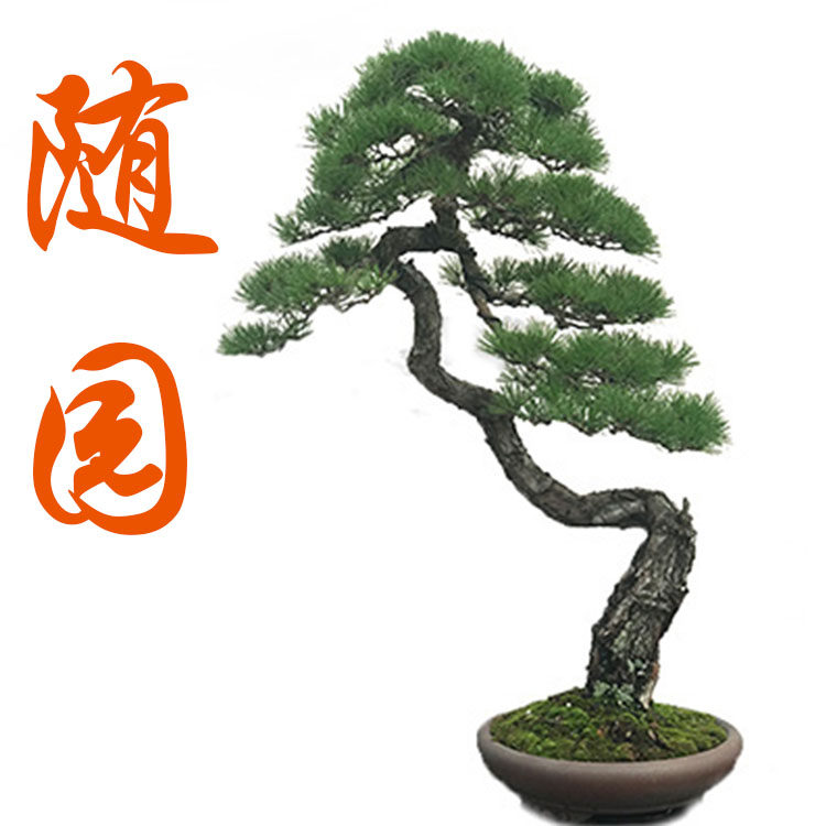 随园官方店