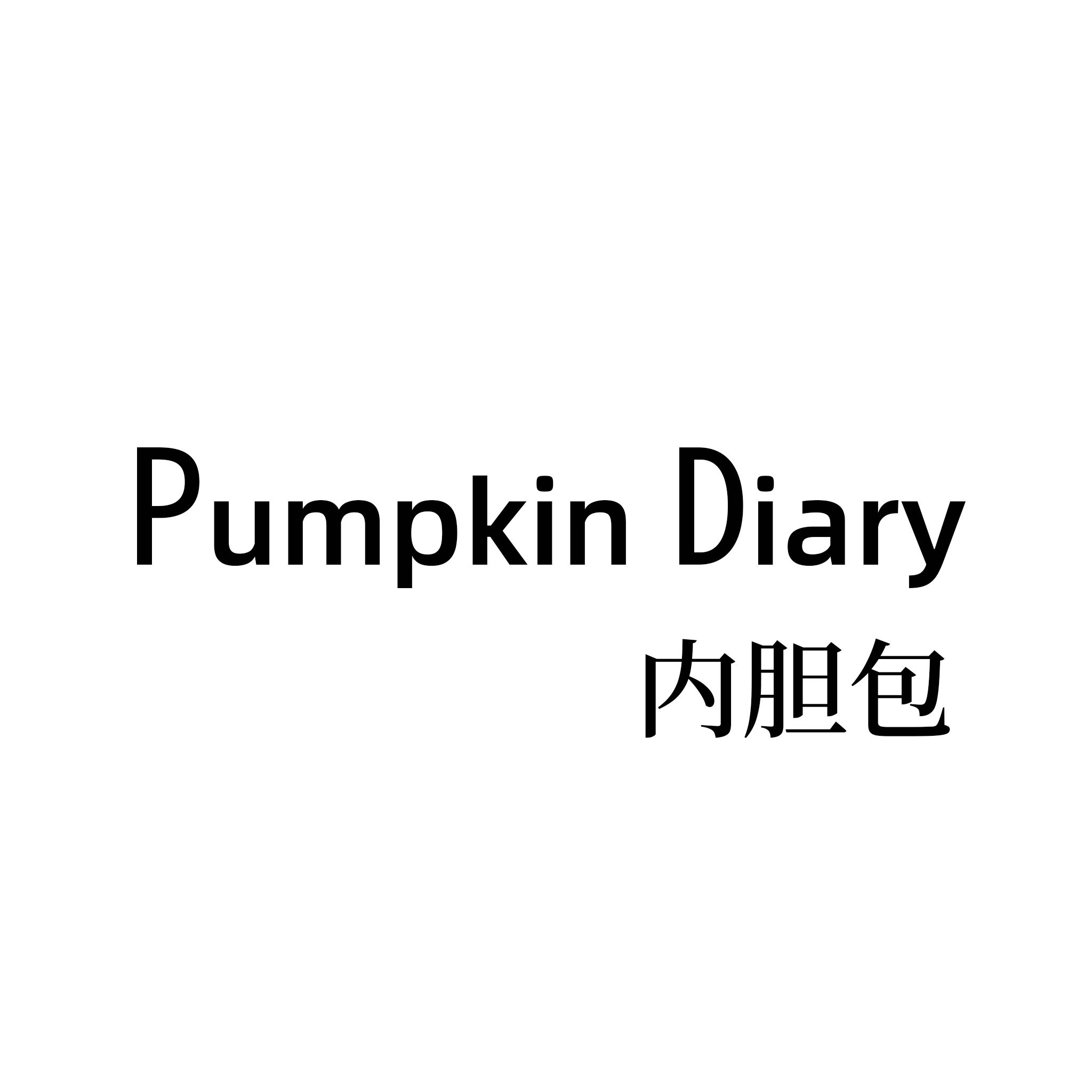 Pumpkin Diary内胆包