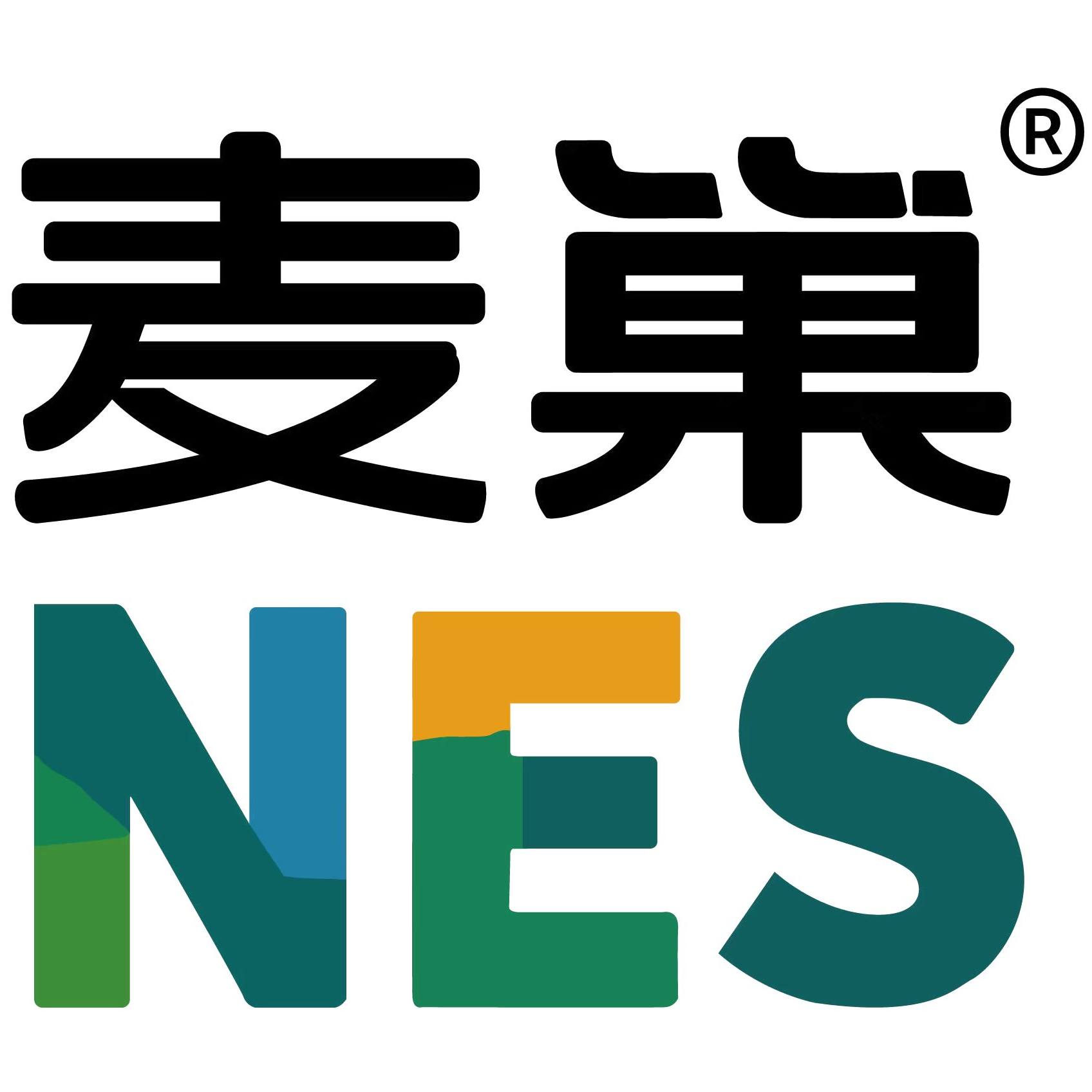 nes麦巢旗舰店