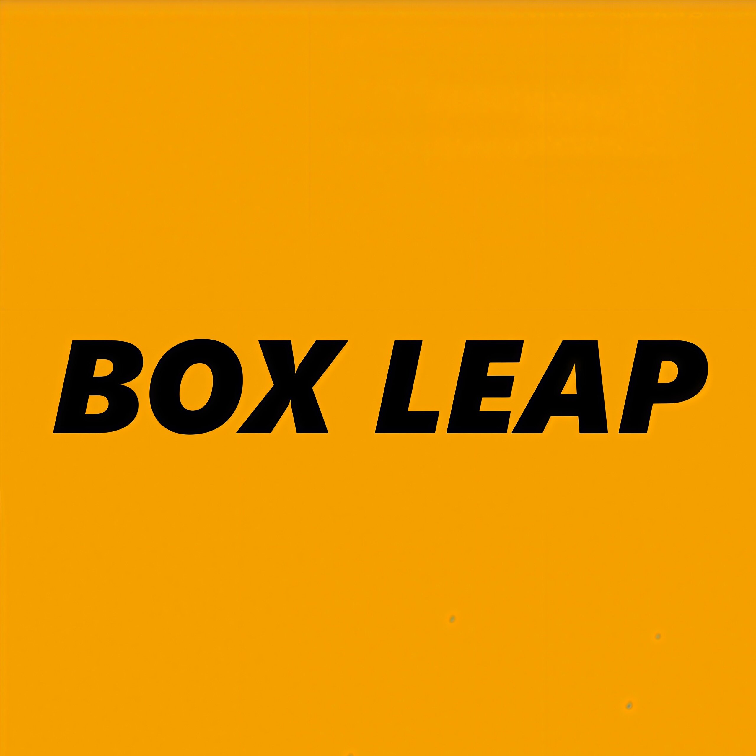 BOX LEAP箱包