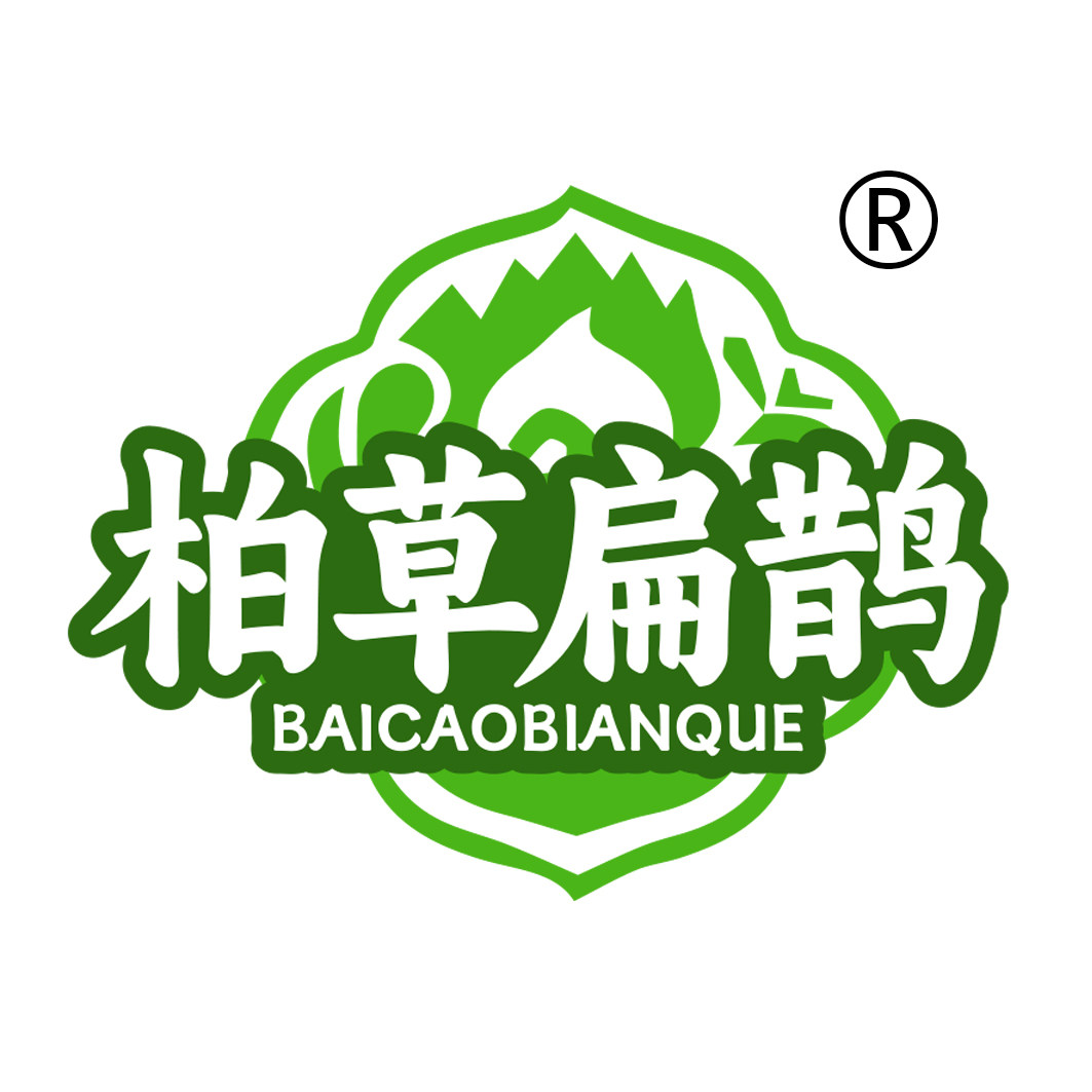 云门大师兄和柏草扁鹊